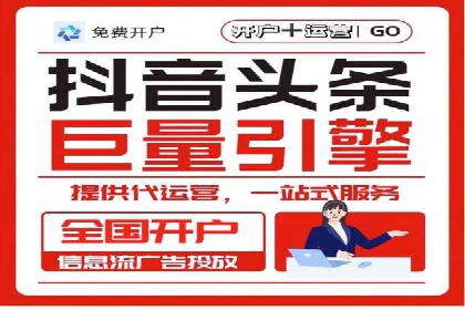 某品牌抖音信息流广告的投放过程与效果评估